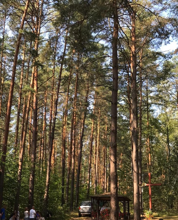Domek Franianiesulice Dış mekan fotoğraf